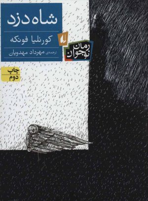 کتاب شاه دزد | انتشارات افق