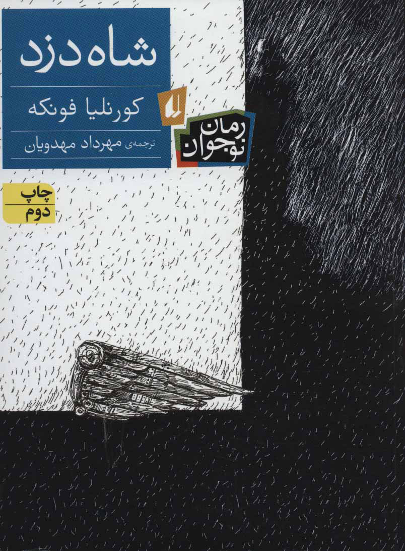 کتاب شاه دزد | انتشارات افق