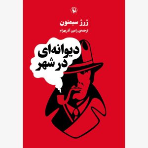 کتاب دیوانه ای در شهر | انتشارات مروارید