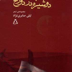 کتاب دوشیزه در دوزخ | انتشارات افراز