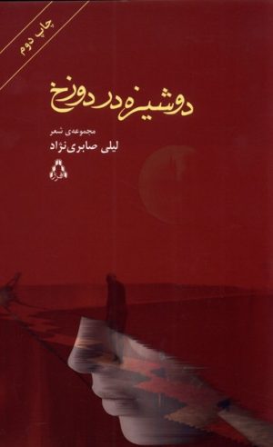 کتاب دوشیزه در دوزخ | انتشارات افراز