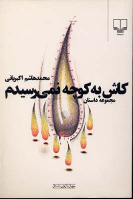 کتاب کاش به کوچه نمی رسیدم | انتشارات نشر چشمه