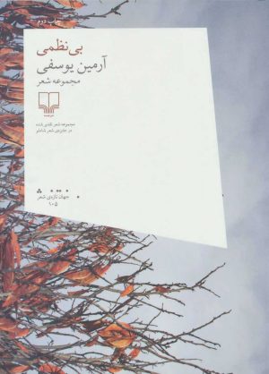 کتاب بی نظمی | انتشارات نشر چشمه