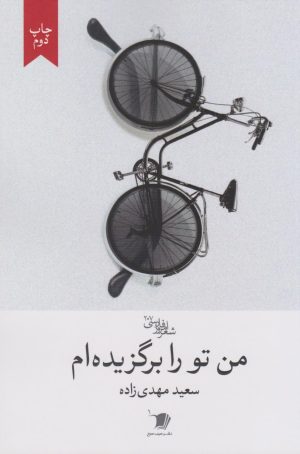 کتاب من تو را برگزیده ام | انتشارات سیب سرخ