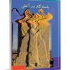 کتاب پاسارگاد در آتش | انتشارات تیرگان