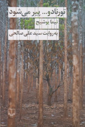 کتاب تورنادو پیر می شود | انتشارات نشر چشمه