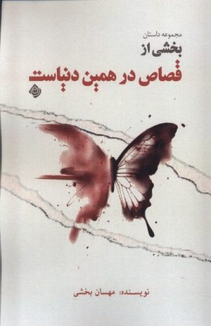 کتاب بخشی از قصاص در همین دنیاست! | انتشارات نیستان