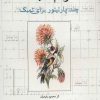 کتاب ترنم تمبک | انتشارات شباهنگ