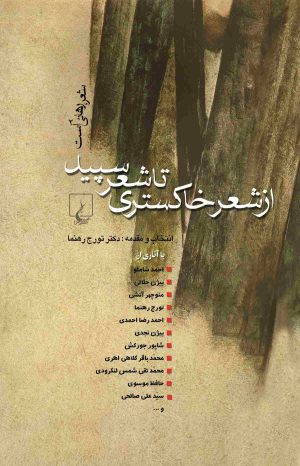کتاب از شعر خاکستری تا شعر سپید | انتشارات ققنوس