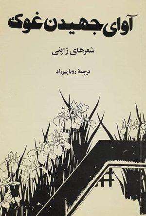 کتاب آوای جهیدن غوک | انتشارات مرکز