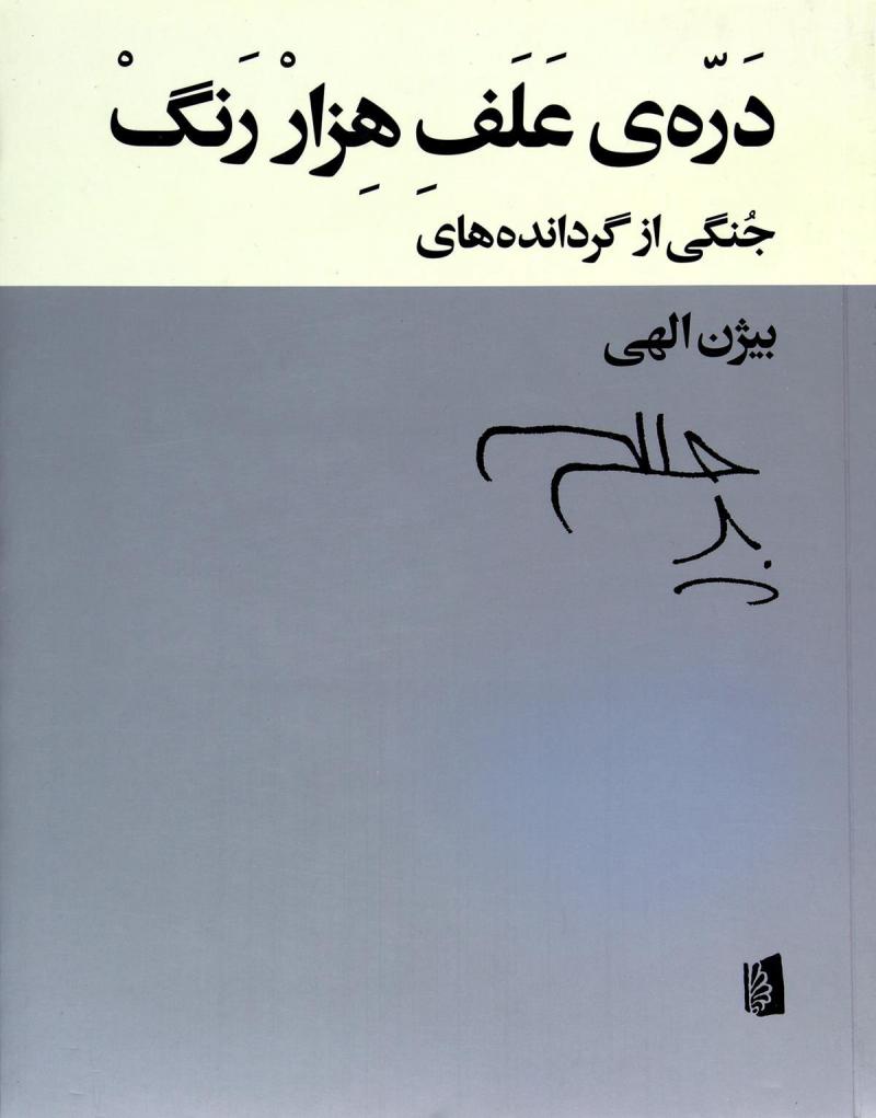 کتاب دره ی علف هزار رنگ | انتشارات بیدگل