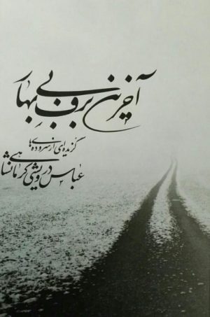 کتاب آخرین برف بی بهار | انتشارات معین