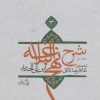 کتاب شرح نهج البلاغه 13 (زرکوب) | انتشارات نیستان