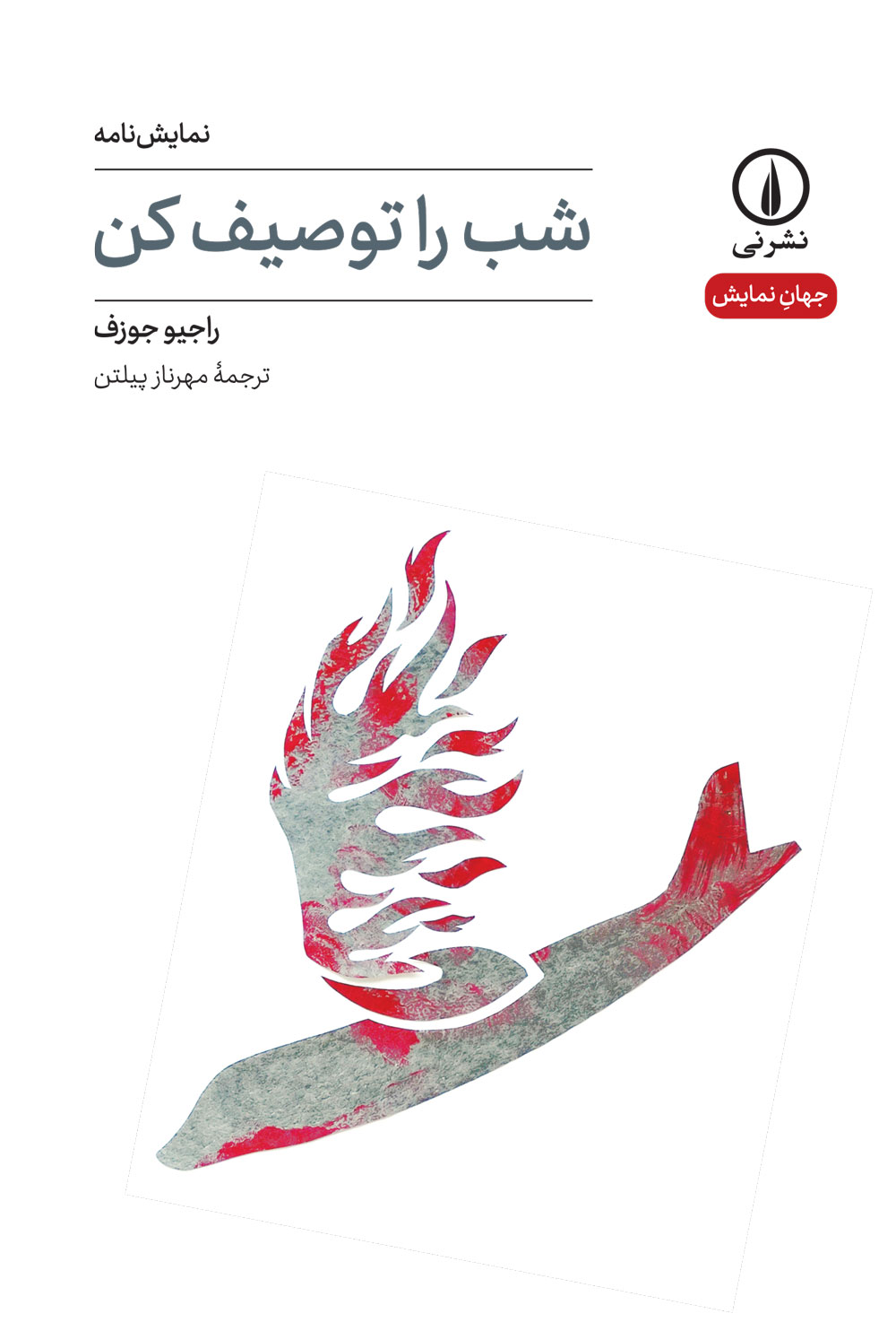 کتاب شب را توصیف کن | انتشارات نشر نی