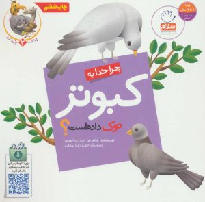 کتاب چرا خدا به کبوتر نوک داده است؟ | انتشارات جمال