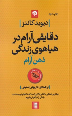 کتاب دقایقی آرام در هیاهوی زندگی | انتشارات روشنگران و مطالعات زنان