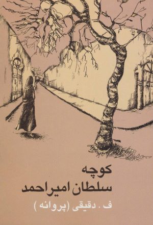 کتاب کوچه سلطان امیراحمد | انتشارات علم
