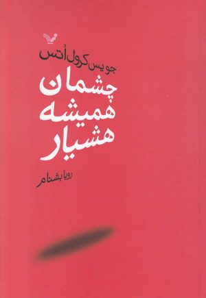 کتاب چشمان همیشه هشیار | انتشارات کتابسرای تندیس