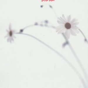 کتاب سبدی با صد شاخه گل | انتشارات بهجت