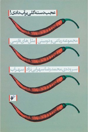 کتاب عجب دسته گلی بر آب دادی | انتشارات کانون پرورش فکری کودکان و نوجوانان