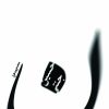 کتاب مجموعه غزل ( ن ) | انتشارات فصل پنجم
