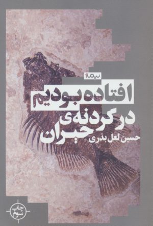 کتاب افتاده بودیم در گردنه ی حیران | انتشارات نیماژ