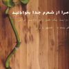 کتاب مرا از شعرم جدا بخوابانید | انتشارات تیسا
