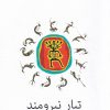 کتاب تبار نیرومند | انتشارات نیلا