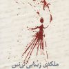 کتاب ملکه زیبایی لینین | انتشارات نیلا
