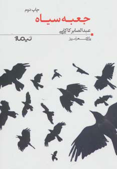 کتاب جعبه سیاه | انتشارات نیماژ