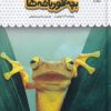 کتاب قورباغه ها و بچه قورباغه ها | انتشارات نوشته