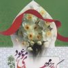 کتاب کراماتی از مهدی موعود (عج) | انتشارات جمال