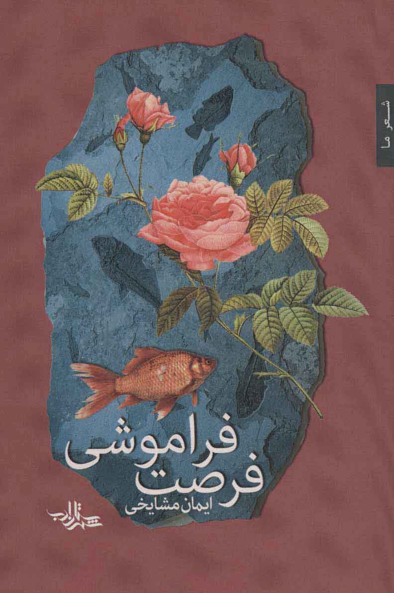 کتاب فرصت فراموشی | انتشارات شهرستان ادب