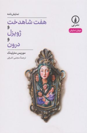 کتاب هفت شاهدخت و ژویزل و درون | انتشارات نشر نی