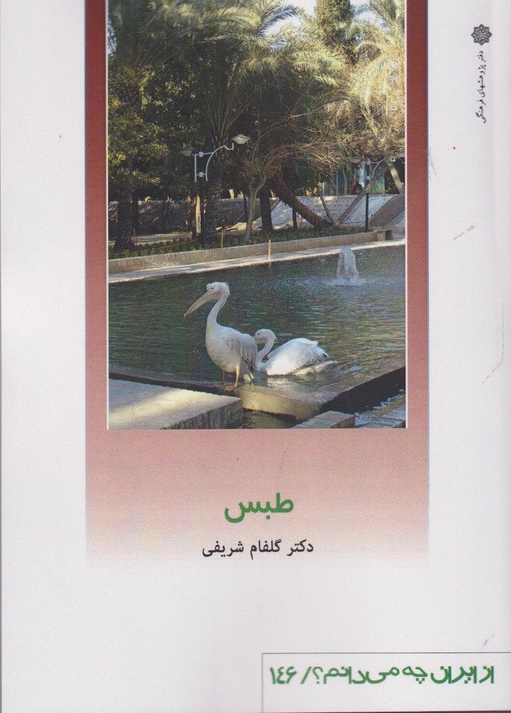 کتاب طبس | انتشارات دفتر پژوهش های فرهنگی