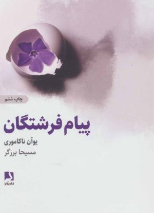 کتاب پیام های فرشتگان | انتشارات ذهن آویز