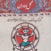 کتاب گل بومادران | انتشارات امیرکبیر