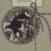 کتاب شطرنج در باد | انتشارات سخن