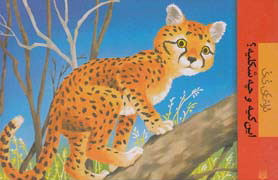 کتاب این کیه و چه شکلیه؟ | انتشارات پیدایش