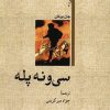 کتاب سی و نه پله | انتشارات امیرکبیر
