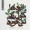 کتاب اژدها گول نمی خورد | انتشارات پرنده آبی