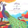 کتاب پرندگان از سر تا دم | انتشارات فاطمی