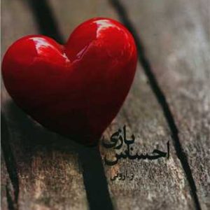 کتاب بازی احساس | انتشارات البرز