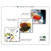 کتاب مجموعه شعر نوجوان (ویژه نابینایان) | انتشارات کانون پرورش فکری کودکان و نوجوانان