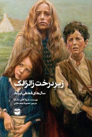 کتاب زیر درخت زالزالک | انتشارات امیرکبیر