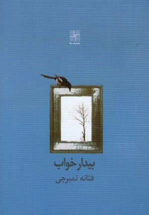 کتاب بیدار خواب | انتشارات نیلا