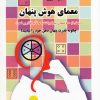 کتاب معمای هوش پنهان | انتشارات به نشر