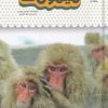 کتاب میمون ها | انتشارات نوشته