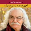 کتاب آهوی الوداع به موسم زایمان آب | انتشارات نگاه
