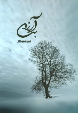کتاب بی آرزو | انتشارات آوای مهدیس